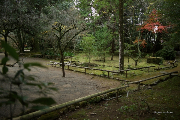 ファイル名: taisho-ji-5.jpeg
ファイルサイズ: 1.19MB
→クリックで元のサイズを表示 taisho-ji-5