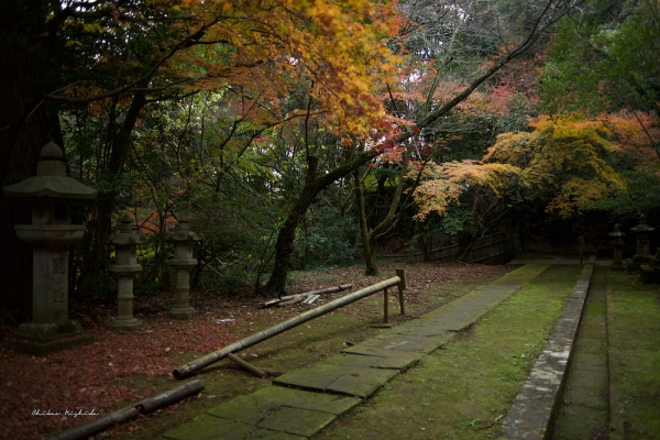 ファイル名: taisho-ji-6.jpeg
ファイルサイズ: 1.20MB
→クリックで元のサイズを表示 taisho-ji-6