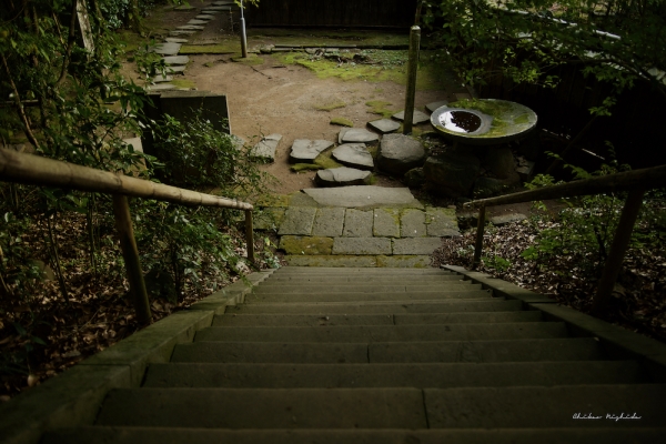 ファイル名: taisho-ji-9.jpeg
ファイルサイズ: 996.5KB
→クリックで元のサイズを表示 taisho-ji-9