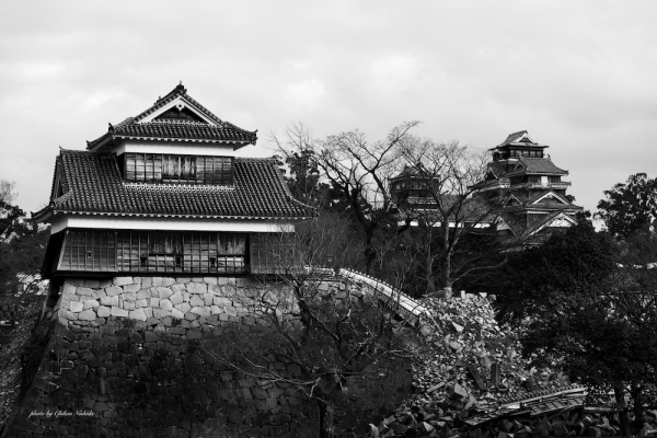 ファイル名: 2016-castle-injured-3.jpeg
ファイルサイズ: 512.6KB
→クリックで元のサイズを表示 2016-castle-injured-3
