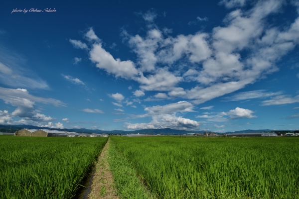 ファイル名: nature-001.jpg
ファイルサイズ: 913.6KB
→クリックで元のサイズを表示 nature-001