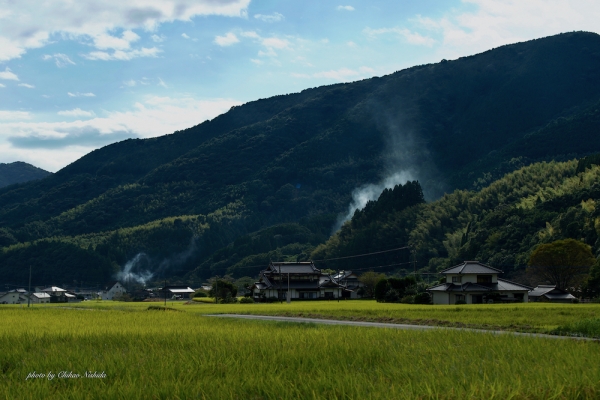 ファイル名: kikuka-rice-001.jpeg
ファイルサイズ: 932.4KB
→クリックで元のサイズを表示 kikuka-rice-001