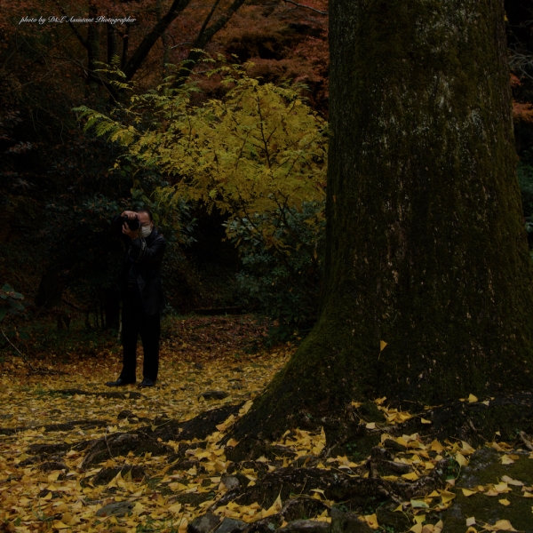 ファイル名: D500-TAMRON-001.jpeg
ファイルサイズ: 1.68MB
→クリックで元のサイズを表示 D500-TAMRON-001