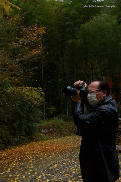 ファイル名: D500-TAMRON-002.jpeg
ファイルサイズ: 1.02MB
→クリックで元のサイズを表示 D500-TAMRON-002