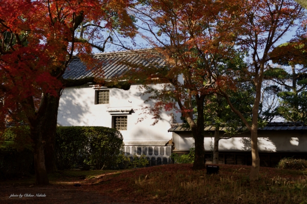 ファイル名: autumnleaves2021.jpeg
ファイルサイズ: 1.24MB
→クリックで元のサイズを表示 autumnleaves2021