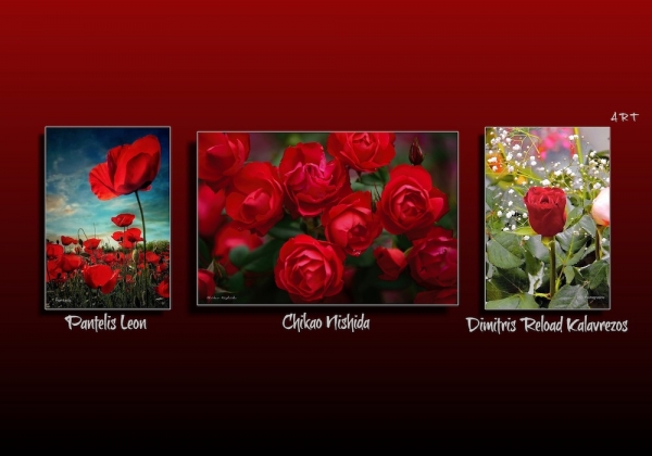 ファイル名: ART-COVER-PHOTO.jpg
ファイルサイズ: 145.7KB
→クリックで元のサイズを表示 ART-COVER-PHOTO