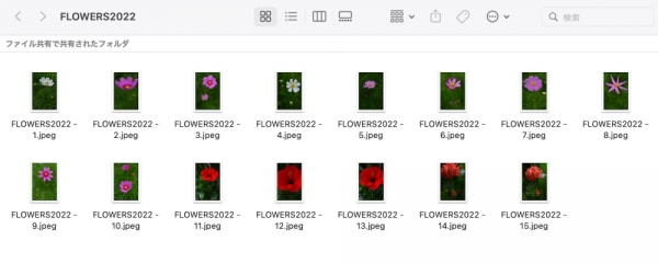 FLOWERS2022-5