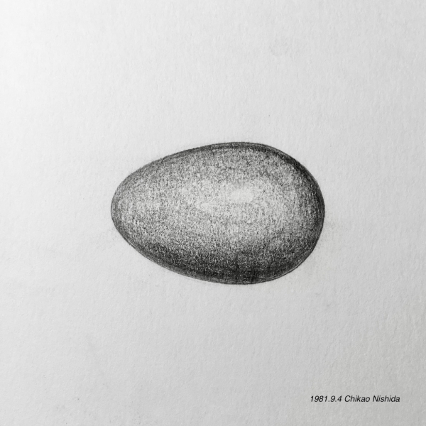 ファイル名: egg1981-9-4.jpg
ファイルサイズ: 218.4KB
→クリックで元のサイズを表示 egg1981-9-4