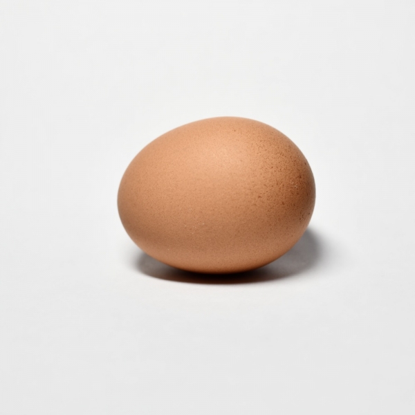 egg2023