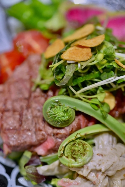 steaksalad202304-9