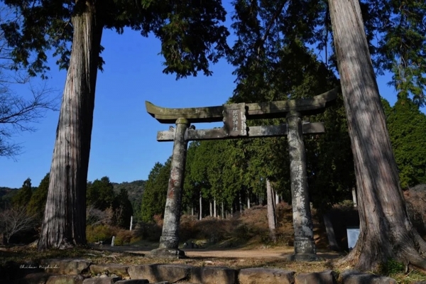 ファイル名: 20231229cross-media-7.jpeg
ファイルサイズ: 291.6KB
→クリックで元のサイズを表示 20231229cross-media-7