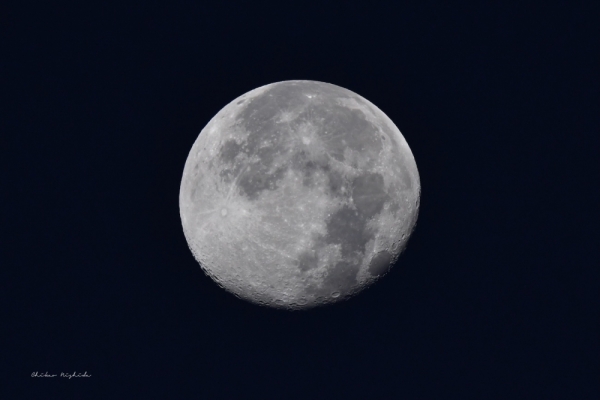 ファイル名: 20241118moon-2.jpeg
ファイルサイズ: 233.5KB
→クリックで元のサイズを表示 20241118moon-2
