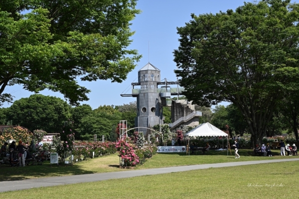 ファイル名: 20250513rosegarden-12.jpeg
ファイルサイズ: 733.8KB
→クリックで元のサイズを表示 20250513rosegarden-12
