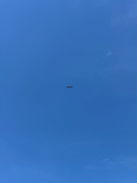 20250911misago-1