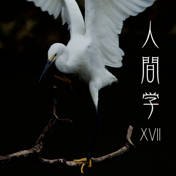 ファイル名: xviiikindle.jpg
ファイルサイズ: 314.2KB
→クリックで元のサイズを表示 xviiikindle