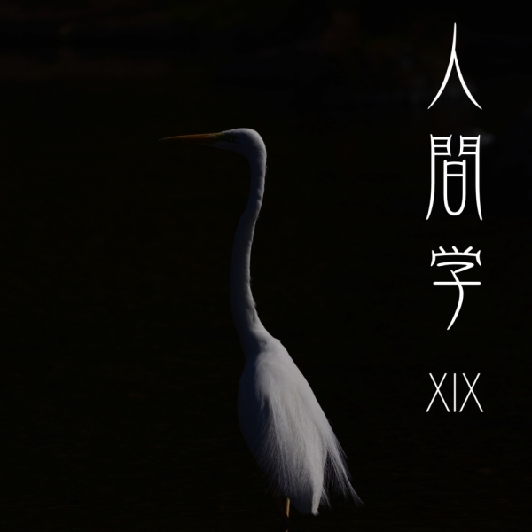 ファイル名: 20250921sinkan.jpg
ファイルサイズ: 305.7KB
→クリックで元のサイズを表示 20250921sinkan
