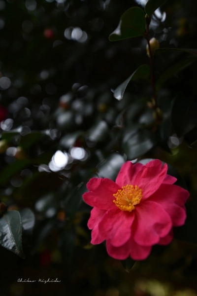 20260209shigotokan-2