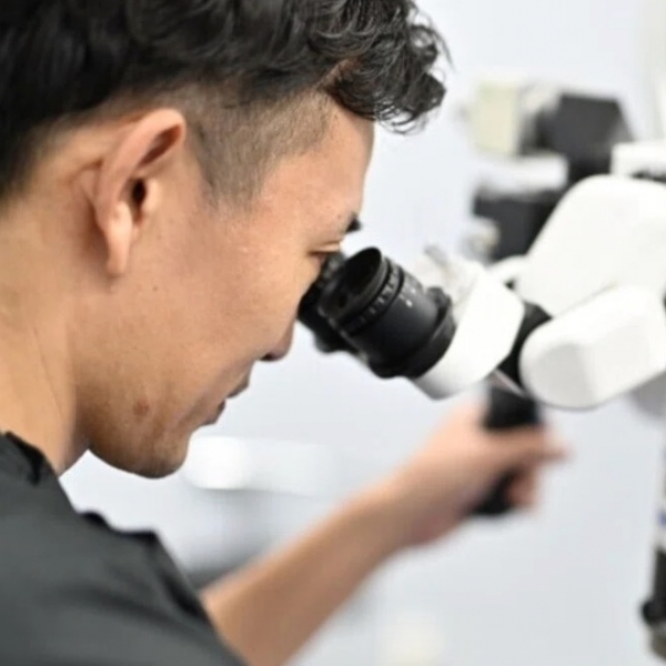 20260210rosettaarticles-1