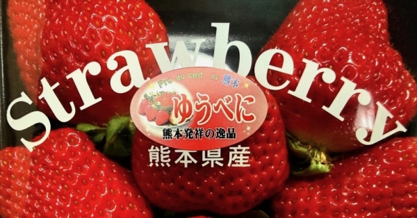 20260225strawberry-1