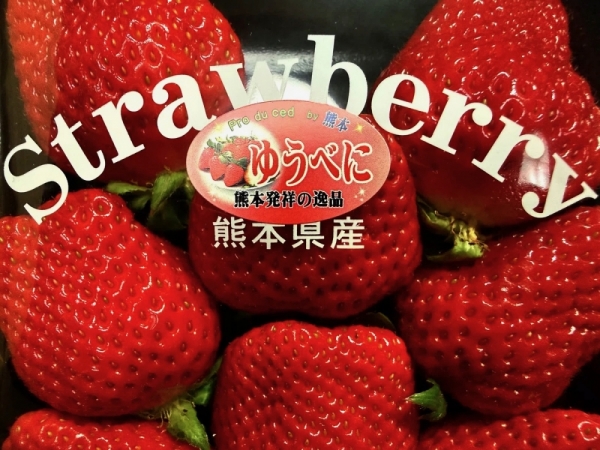 20260225strawberry-3