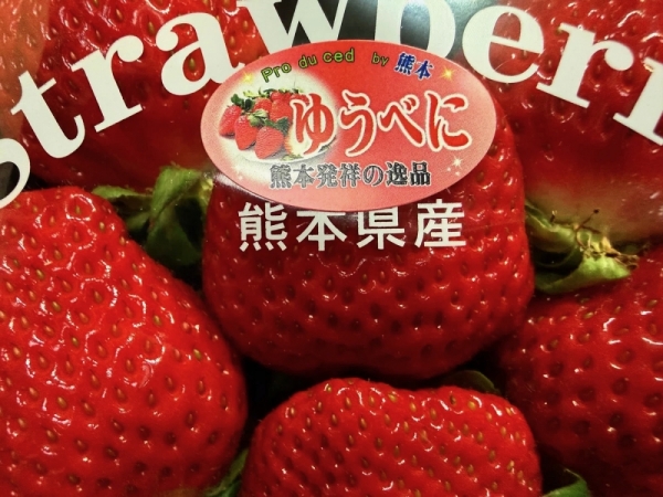 20260225strawberry-4
