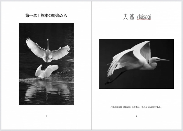 20260310kurouchibooks-6