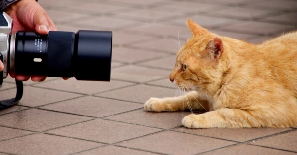 ファイル名: 20260413newbook-1.jpeg
ファイルサイズ: 311.1KB
→クリックで元のサイズを表示 20260413newbook-1