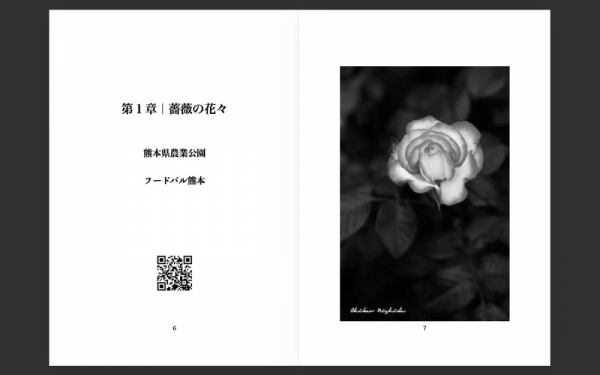 ファイル名: 20260413newbook-5.jpeg
ファイルサイズ: 174.5KB
→クリックで元のサイズを表示 20260413newbook-5