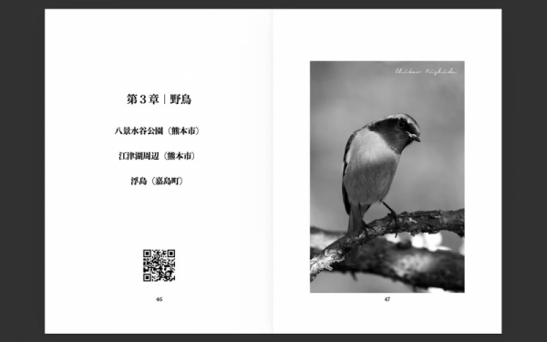 ファイル名: 20260413newbook-7.jpeg
ファイルサイズ: 187.2KB
→クリックで元のサイズを表示 20260413newbook-7