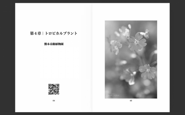 ファイル名: 20260413newbook-8.jpeg
ファイルサイズ: 173.9KB
→クリックで元のサイズを表示 20260413newbook-8