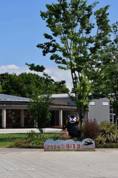 ファイル名: 20260517zoo-11.jpeg
ファイルサイズ: 592KB
→クリックで元のサイズを表示 20260517zoo-11